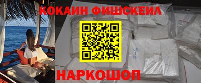 индика Гатчина