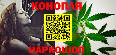 индика Гатчина