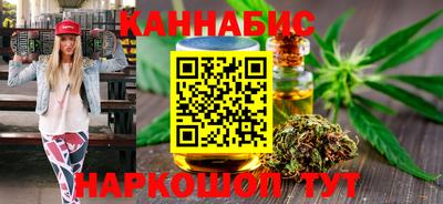 индика Гатчина