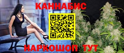 индика Гатчина