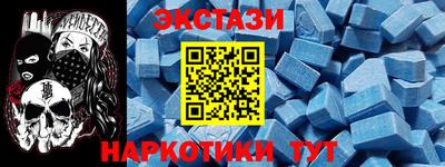 индика Гатчина
