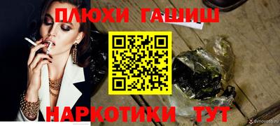 индика Гатчина