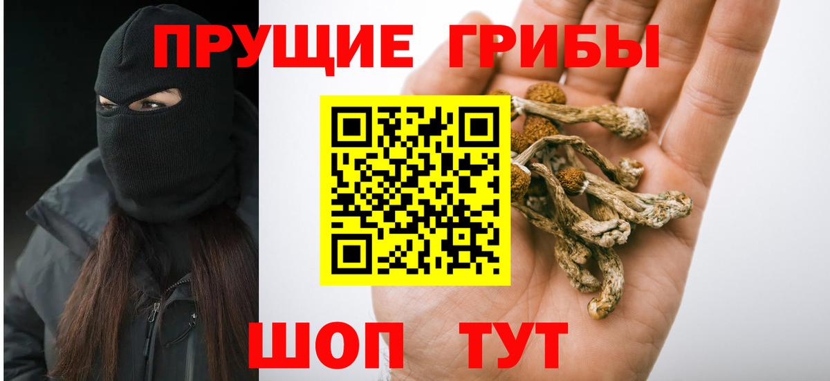 Петропавловск-Камчатский  Псилоцибиновые грибы Psilocybe  Вход с VPN  дарнет шоп  Галлюциногенные грибы MAGIC MUSHROOMS 